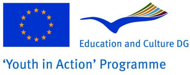 Youth in Action logo