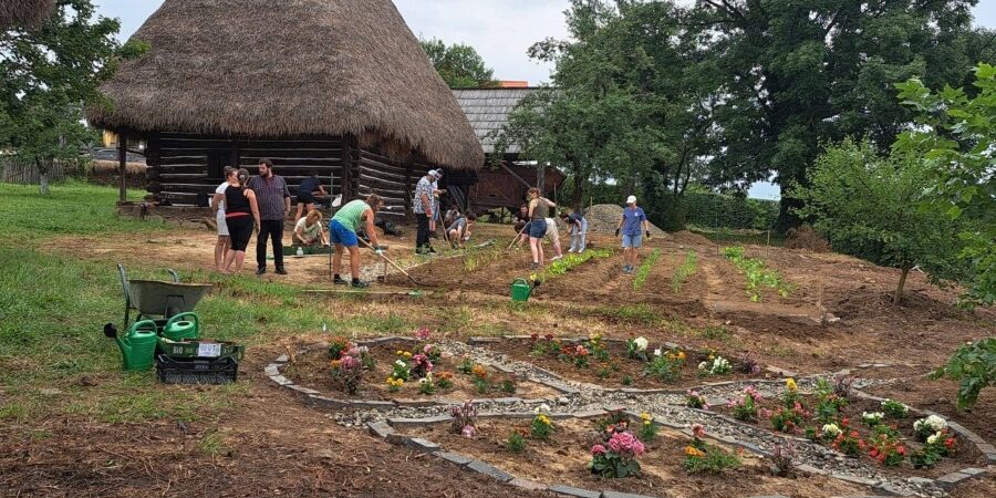 YMCA Romania’s Community Garden cover