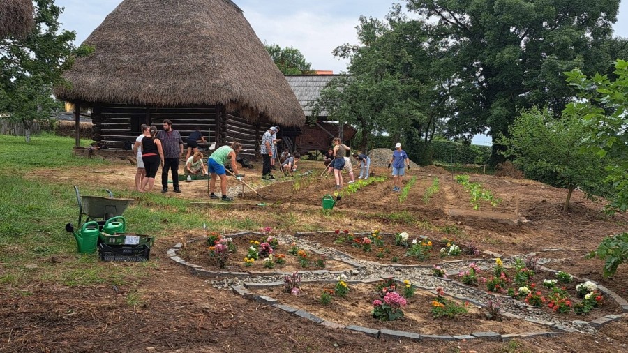 YMCA Romania’s Community Garden cover