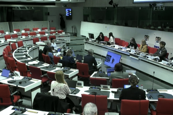 YMCA Europe Takes the Floor at Key EU Hearing