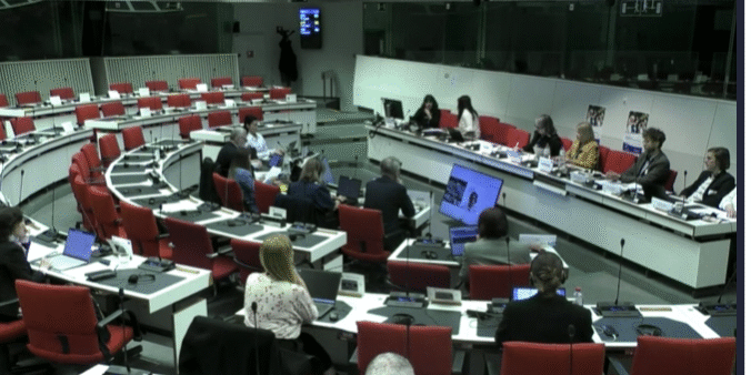 YMCA Europe Takes the Floor at Key EU Hearing
