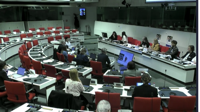 YMCA Europe Takes the Floor at Key EU Hearing