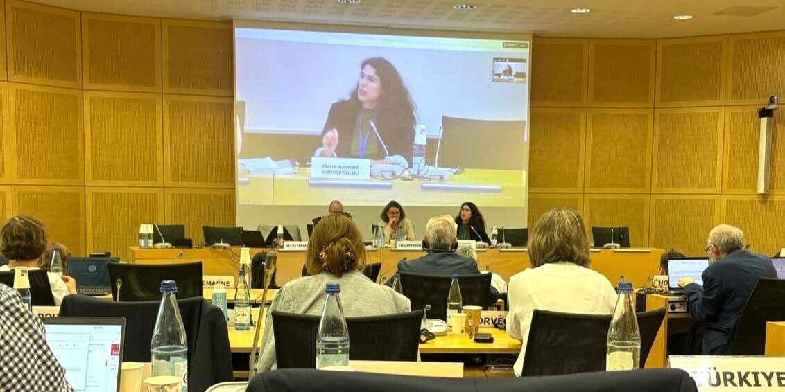 Strengthening Youth Rights in the Steering Committee on Human Rights (2)