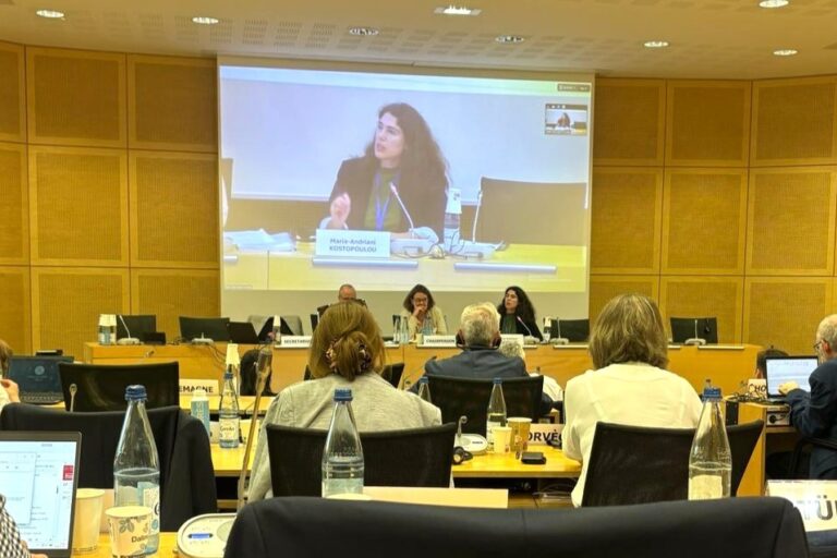 Strengthening Youth Rights in the Steering Committee on Human Rights (2)